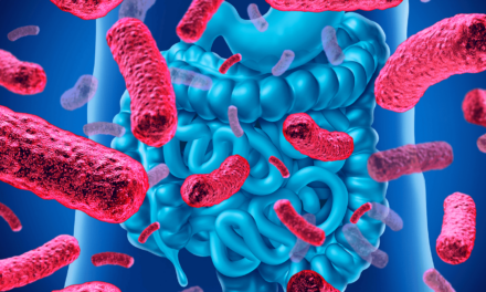 Microbiota intestinale: cos’è e perché è importante?