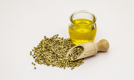 Olio di semi di canapa: benefici e usi