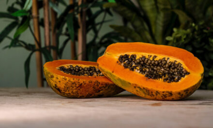 Papaya fermentata: i benefici contro lo stress ossidativo