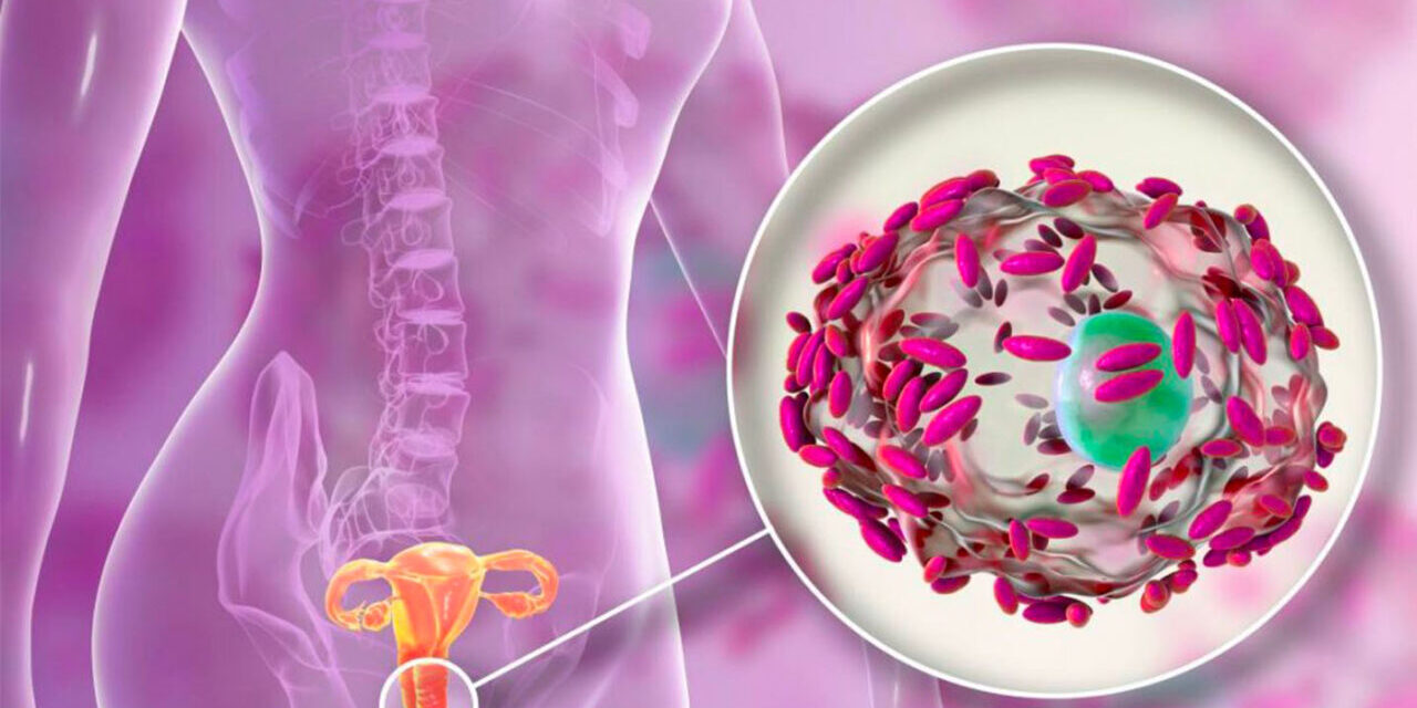 Microbiota intestinale e benessere femminile: c’è un legame?