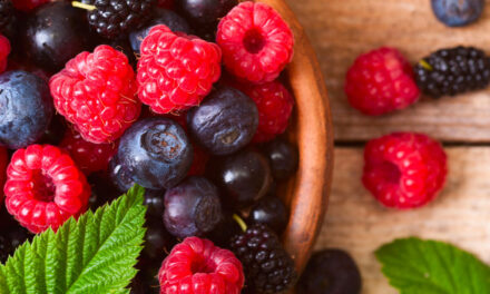 Frutti di bosco: tesori naturali ricchi di antiossidanti
