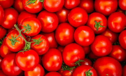Pomodori: benefici e proprietà nutrizionali