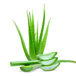 Aloe vera: il segreto naturale per la salute e la bellezza