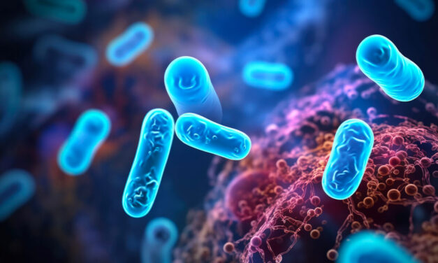 Escherichia coli: cause, sintomi e trasmissione